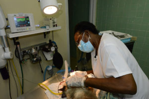 St. Croix Animal Hospital and Veterinary Clinic